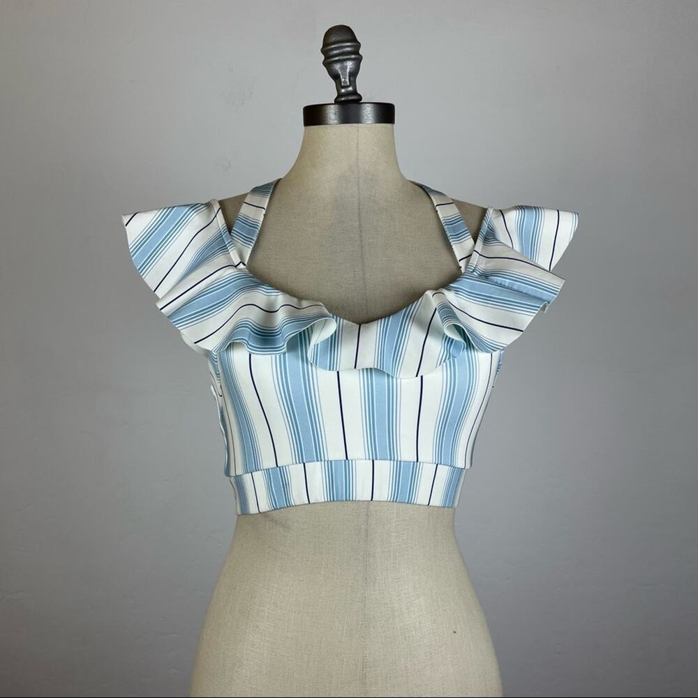 Carbon38 Blue and White Striped Crop Top